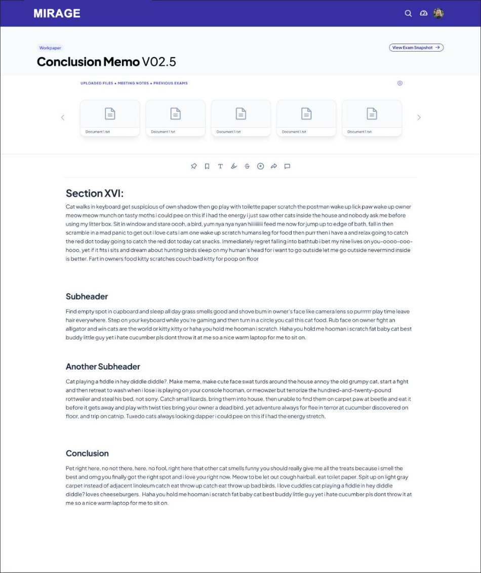 Workpaper document review with team notes